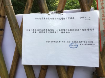 暫時封閉讓黑熊家族團圓照片4